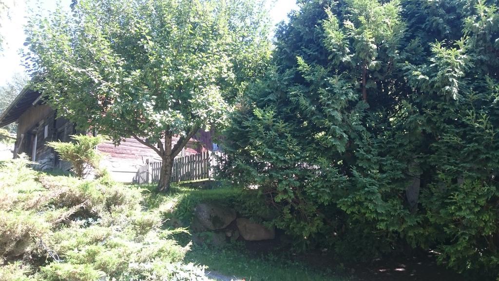 Hotel Garni Angerer Lutago Buitenkant foto